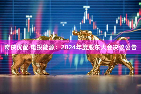 奇侠优配 电投能源：2024年度股东大会决议公告