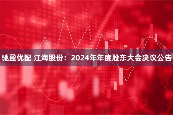 驰盈优配 江海股份：2024年年度股东大会决议公告