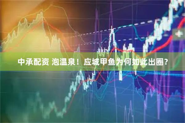 中承配资 泡温泉！应城甲鱼为何如此出圈？